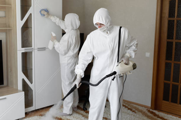 Best Office Mold Removal Services  in Mountain View, HI